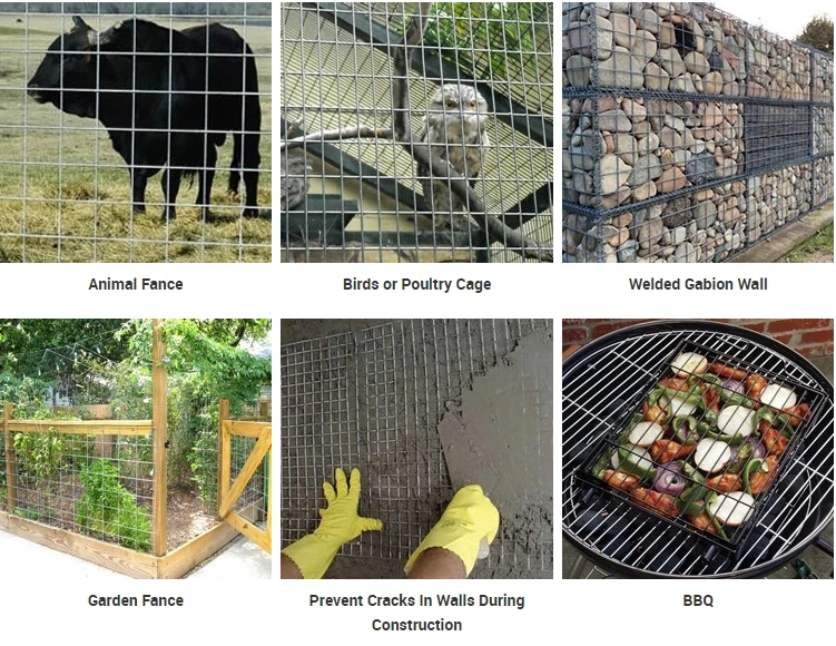 2*2inch Stainless Steel Welded Wire Mesh for Cages