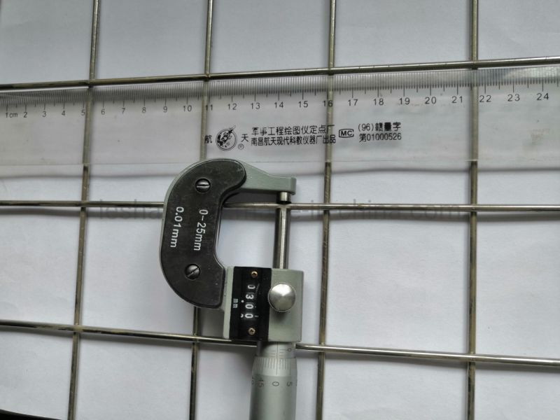 High Temperature Resist Stainless Steel Welded Wire Mesh