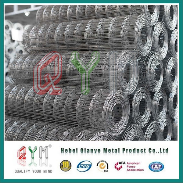 Galvanized PVC Coated Welded Wire Mesh/ Iron Wire Mesh