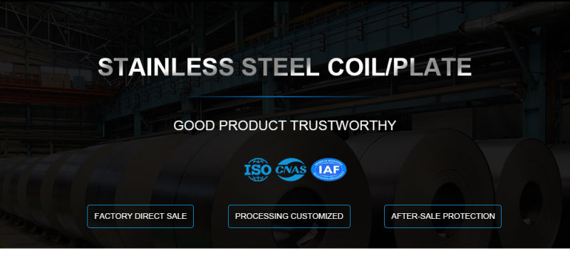Cold/Hot Rolled AISI 309 Stainless Steel Sheet and Plate Price