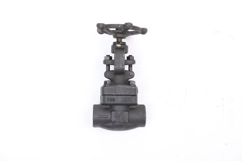 Stainless Steel Socket Welded (National Pipe Thread) Carbon Steel Stainless Steel Gate Valve (Z61H-800LB-DN50)