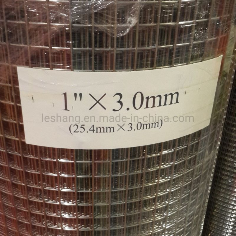 Stainless Steel Welded Wire Mesh 1/2"X2.0mm