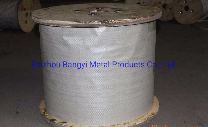Competitive Price 316 Stainless Steel Wire Rope in China