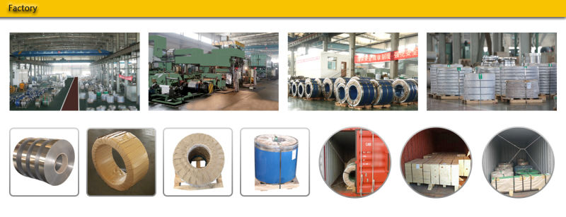 AISI 300 Series Hot Rolled Steel Coil Stainless Steel
