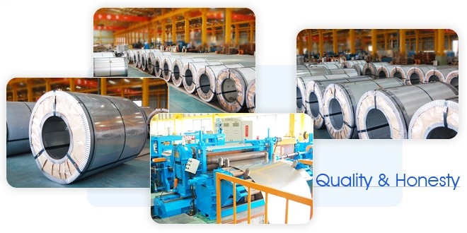 Galvanized Coil Cold Rolled 317L Stainless Steel Sheet/Plate China Manufacturer Coil