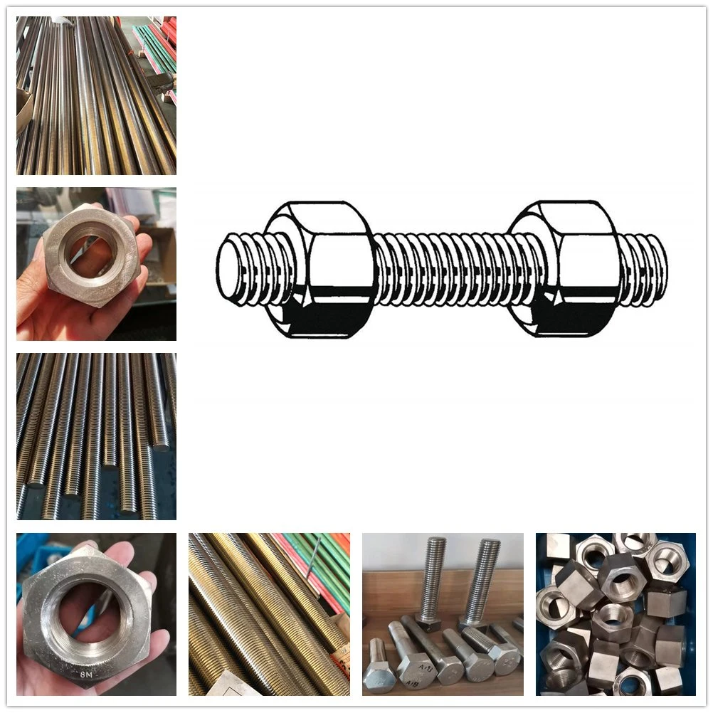 SS304 316 316L DIN975 DIN976 Stainless Steel Threaded Rod / Thread Bar