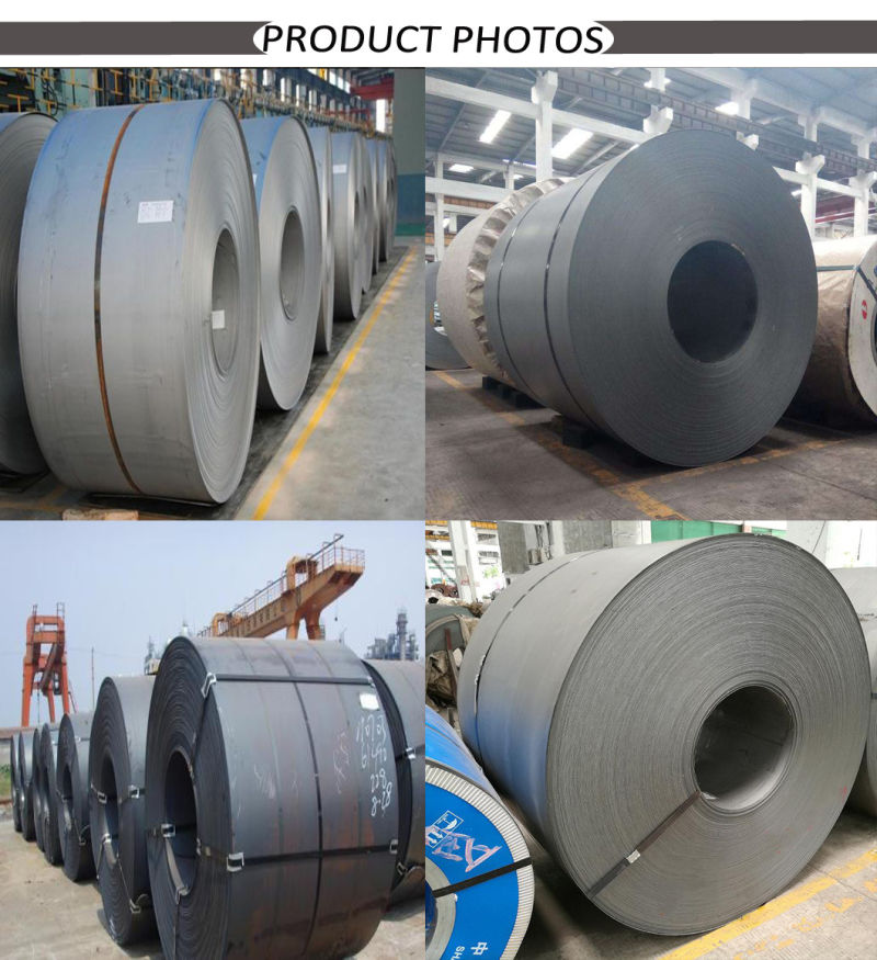 SAE 1030 Hot Rolled Pickled and Oiled Carbon Steel Coil