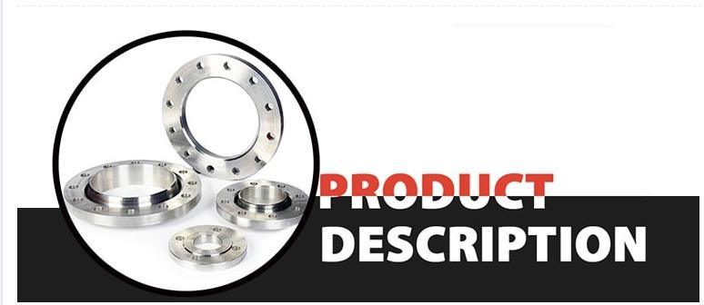 OEM ANSI Stainless Steel Forged Welded Flange Casting Stainless Steel Flange
