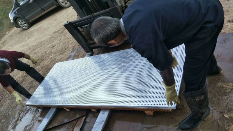 Food Grade Stainless Steel Perforated Metal Sheet