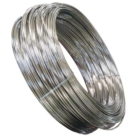 Hot Sale 302 Stainless Steel Wire Used For BBQ Fork or Steel Mesh