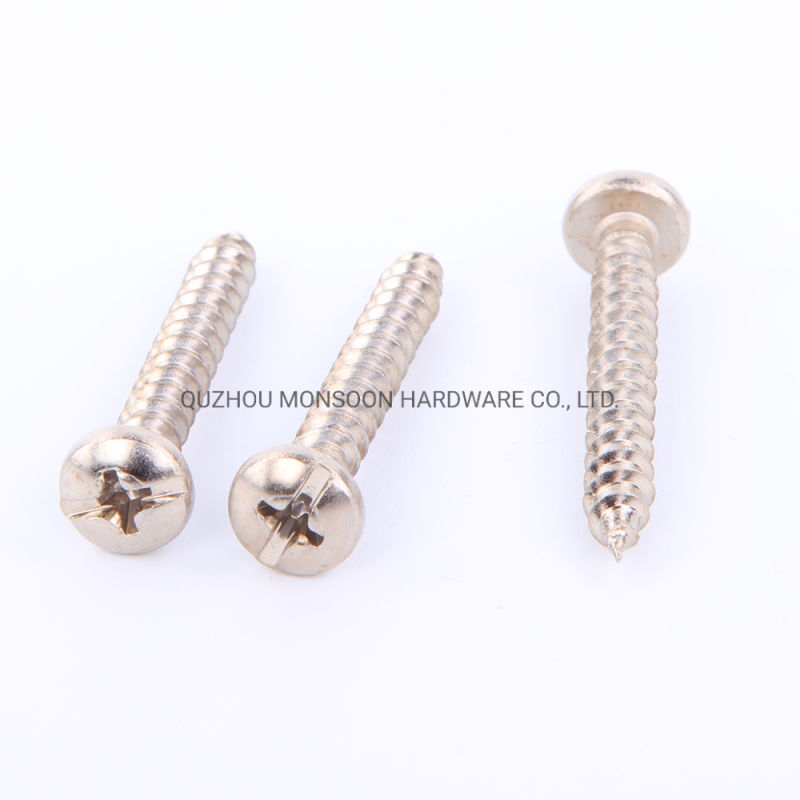 Stainless Steel Pan Head Phillips Slot Self Tapping Screws