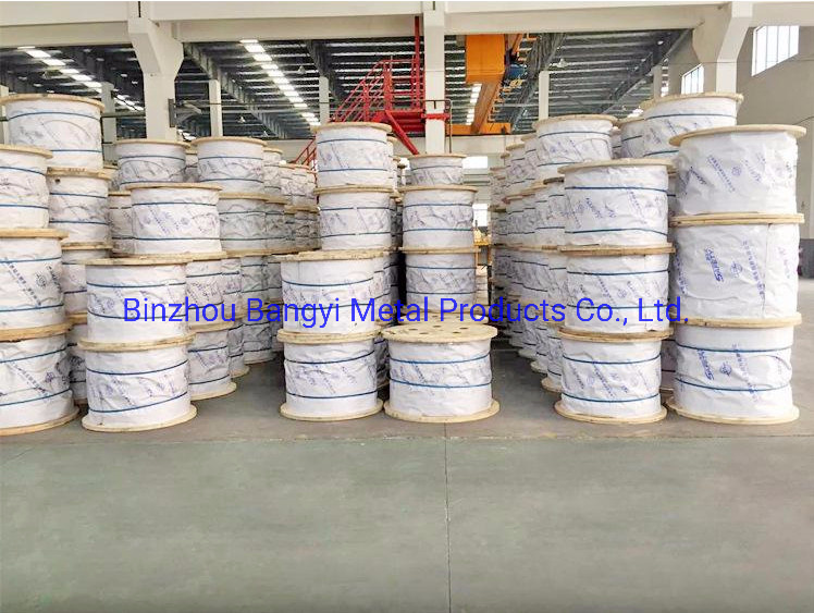 Durable Price Cost-Effective Stainless Steel Wire Rope