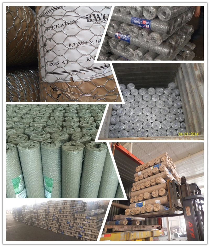 Hexagonal PVC Coated Stainless Steel Wire Mesh for Chicken