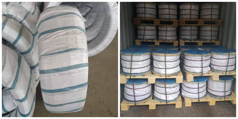 China Factory Sale Stainless Rope Steel Wire Price