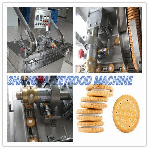 Low Cost Stainless Steel Hard Biscuit Production Line