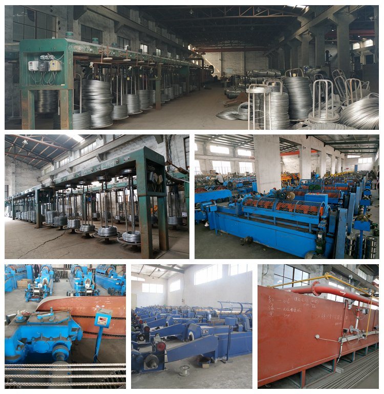 Stainless Steel Wire Rope Factory Price Per Meter 6X12FC