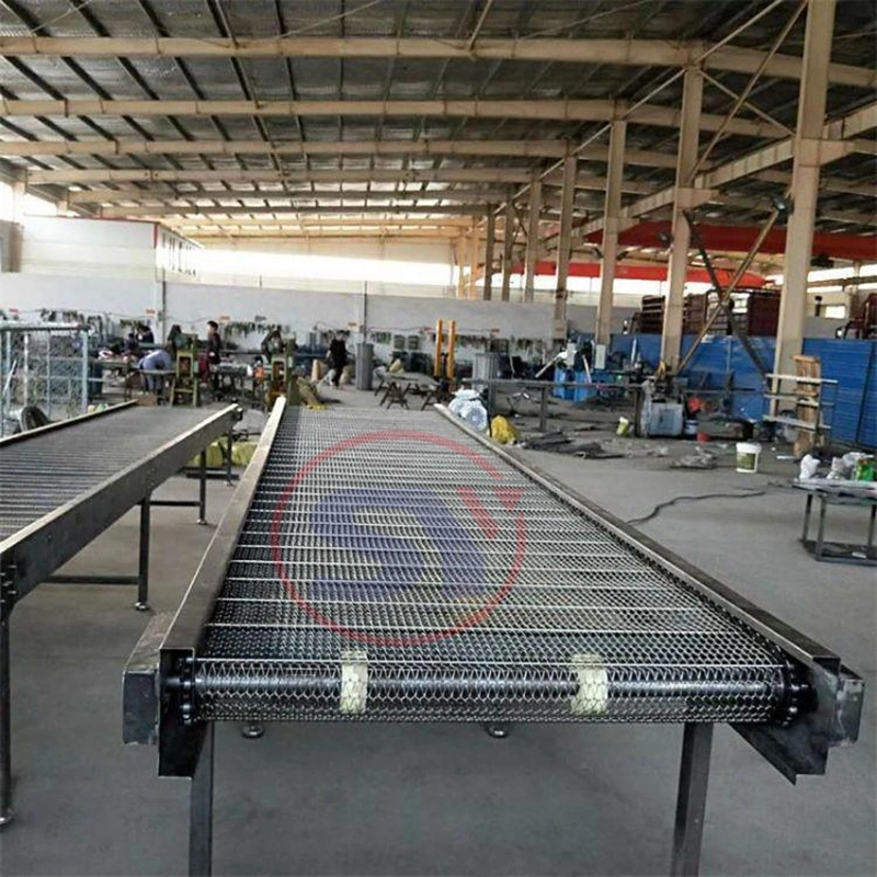 Zinc/Plastic/Carbon Steel/Stainless Steel Wire Mesh Linear Conveyor with Factory Price