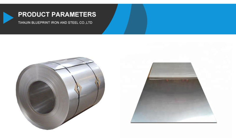 Hot Rolled Good Quality 304 Stainless Steel Plate with Price