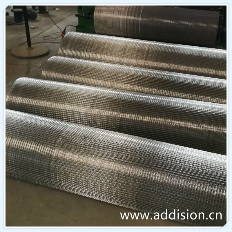 Electro Galvanized Welded Stainlesssteel Wire Mesh with SGS Certificate