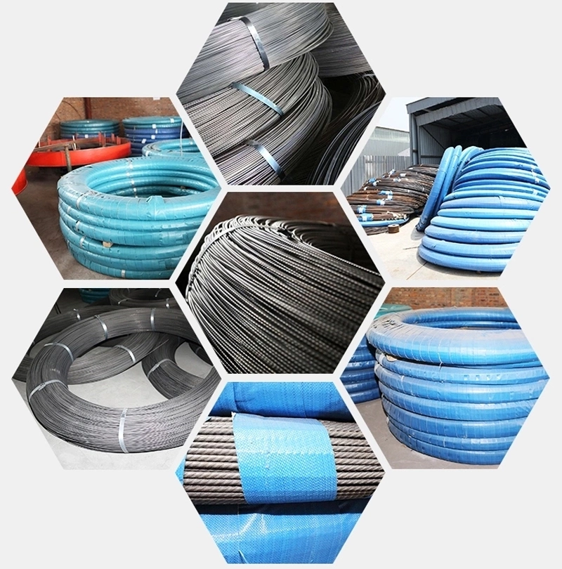 Factory Price Cold Heading Spring Steel Wire Stainless Steel Wire