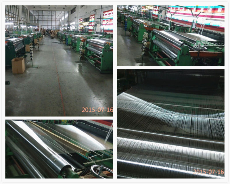 Ss Wire Mesh in Rolls / Stainless Steel Wire Mesh