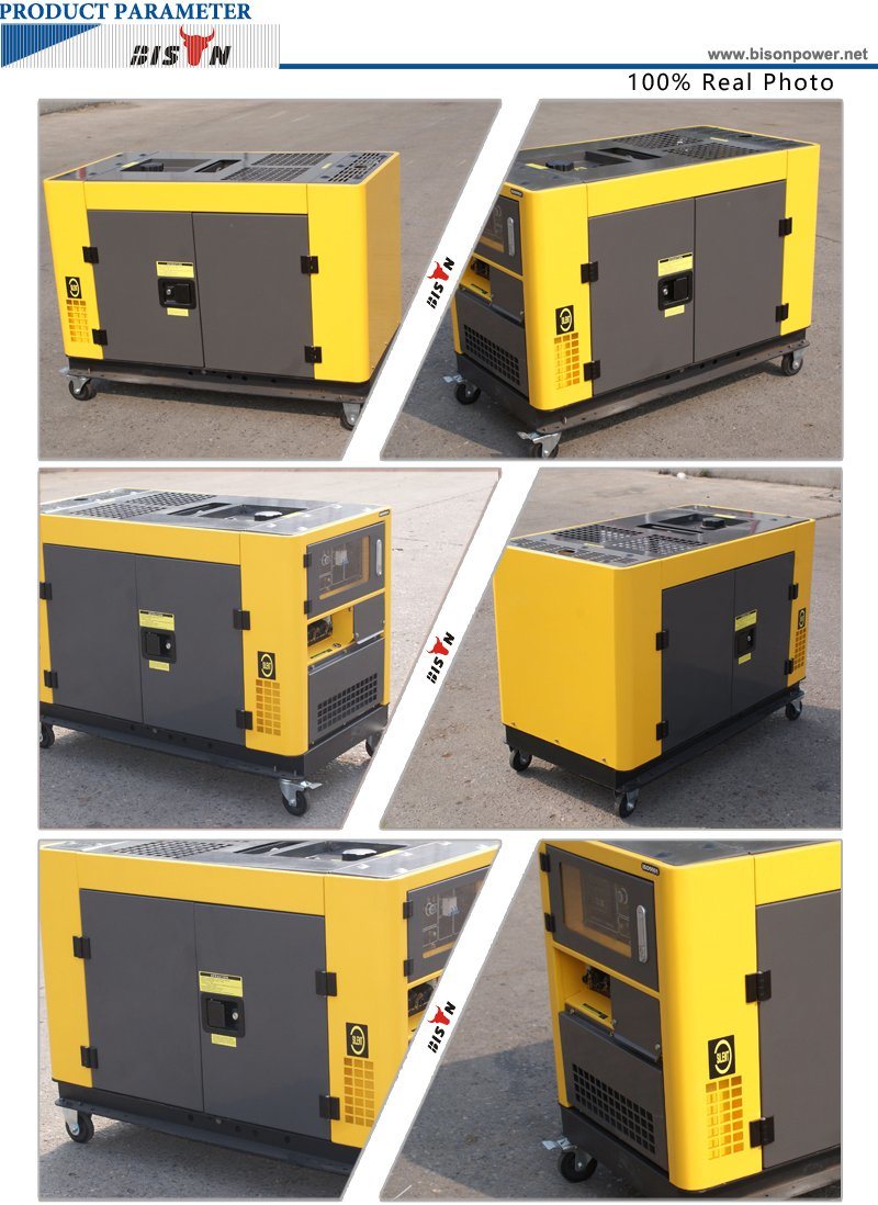 Bison (China) BS12000t 10kw Air-Cooled Long Run Time Portable Silent Diesel Generator 10kVA From Experienced Supplier