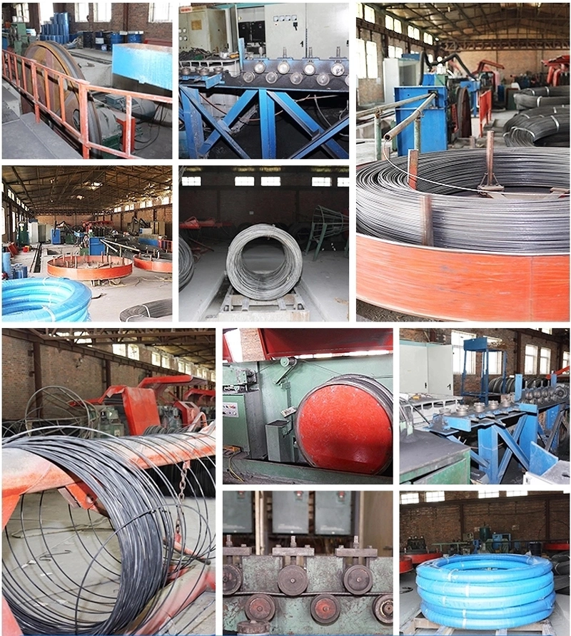 Low Price Cold Heading Spring Steel Wire Stainless Steel Wire