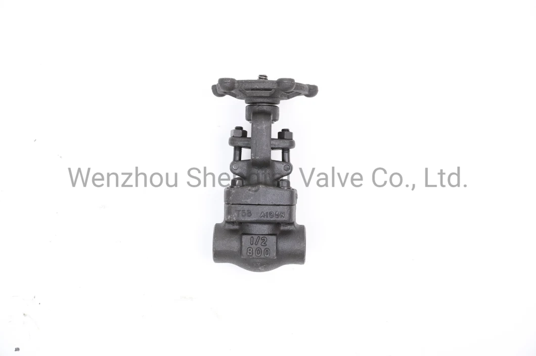 Forged Steel Socket Welded (National Pipe Thread) Carbon Steel Stainless Steel Gate Valve (Z61H-800LB-DN20)