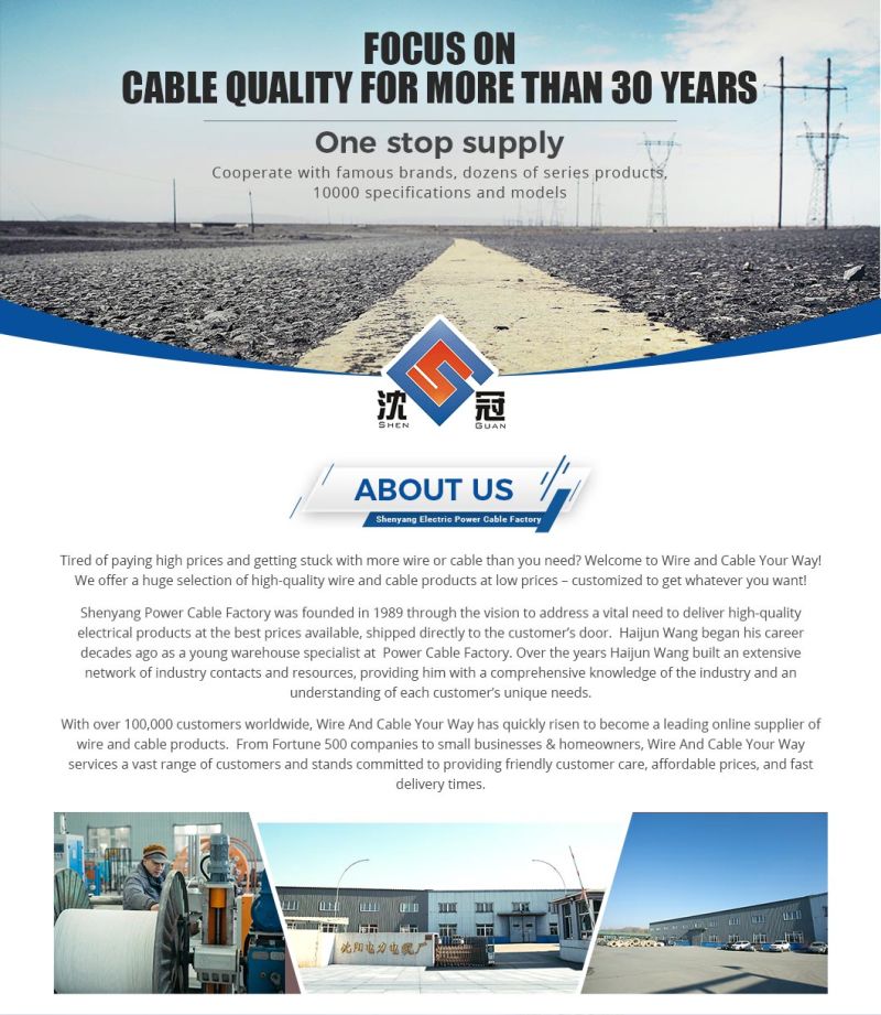 XLPE Automotive Cables Electrical Flexible Auto Wire for Telecommunication