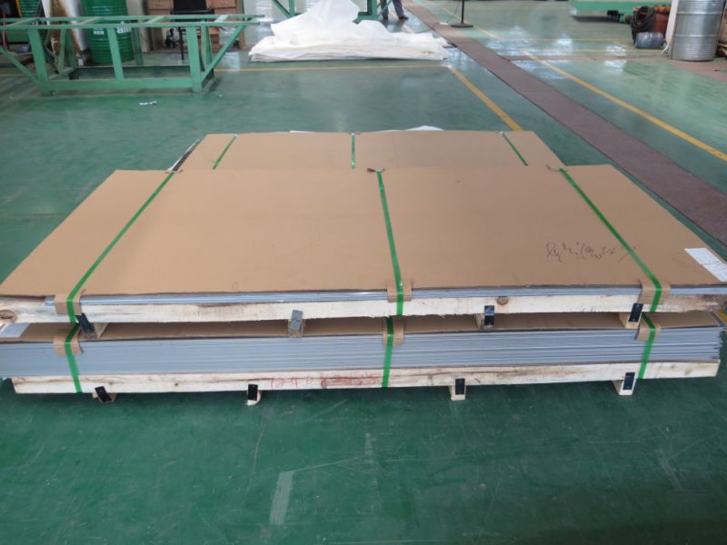 Stainless Steel Mesh Sheets
