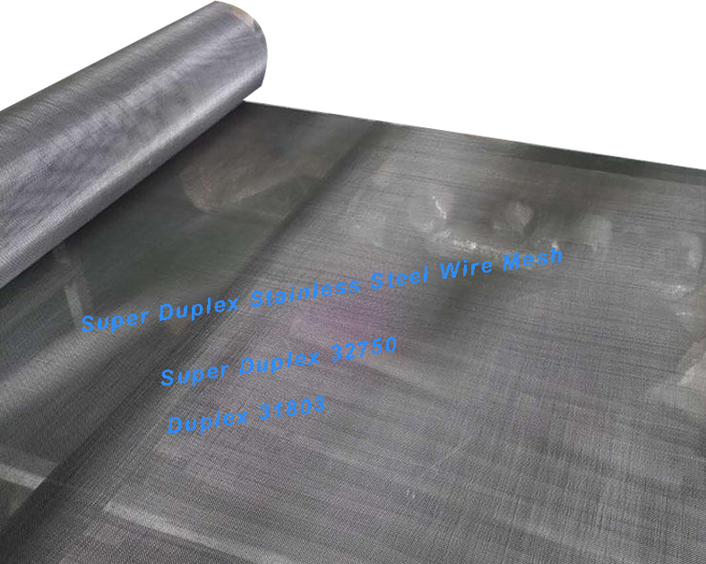 2205/2507 Duplex Stainless Steel Wire Mesh Perforated Metal Mesh