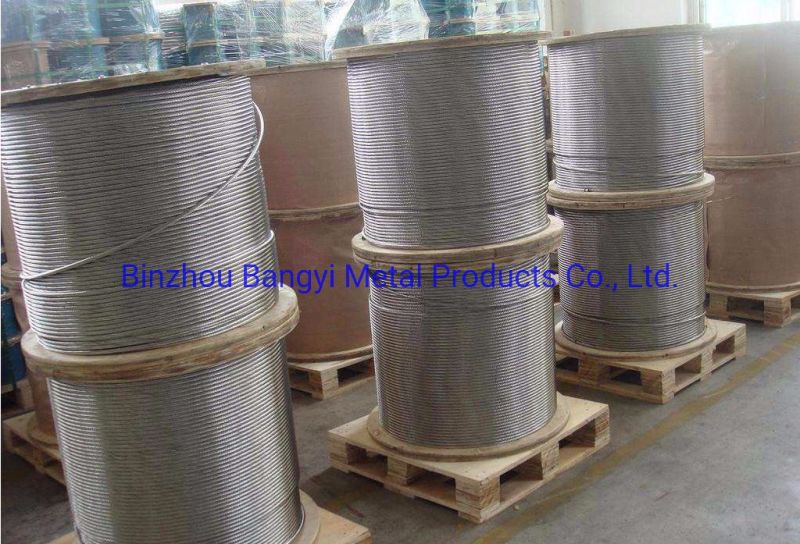 Competitive Price 316 Stainless Steel Wire Rope in China