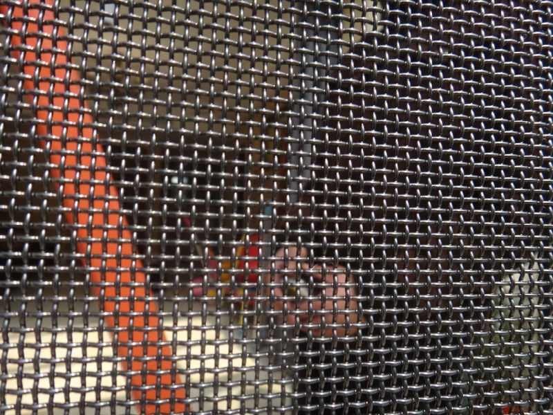 Stainless Steel Wire Mesh Window Screen Mesh/Security Mesh-Anti Insect/Mosquito