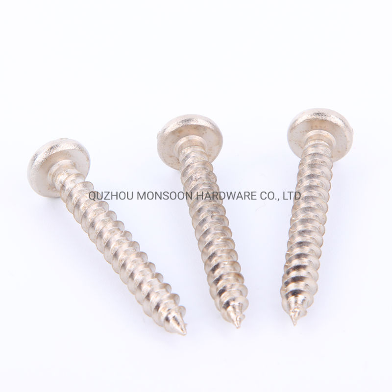Stainless Steel Pan Head Phillips Slot Self Tapping Screws