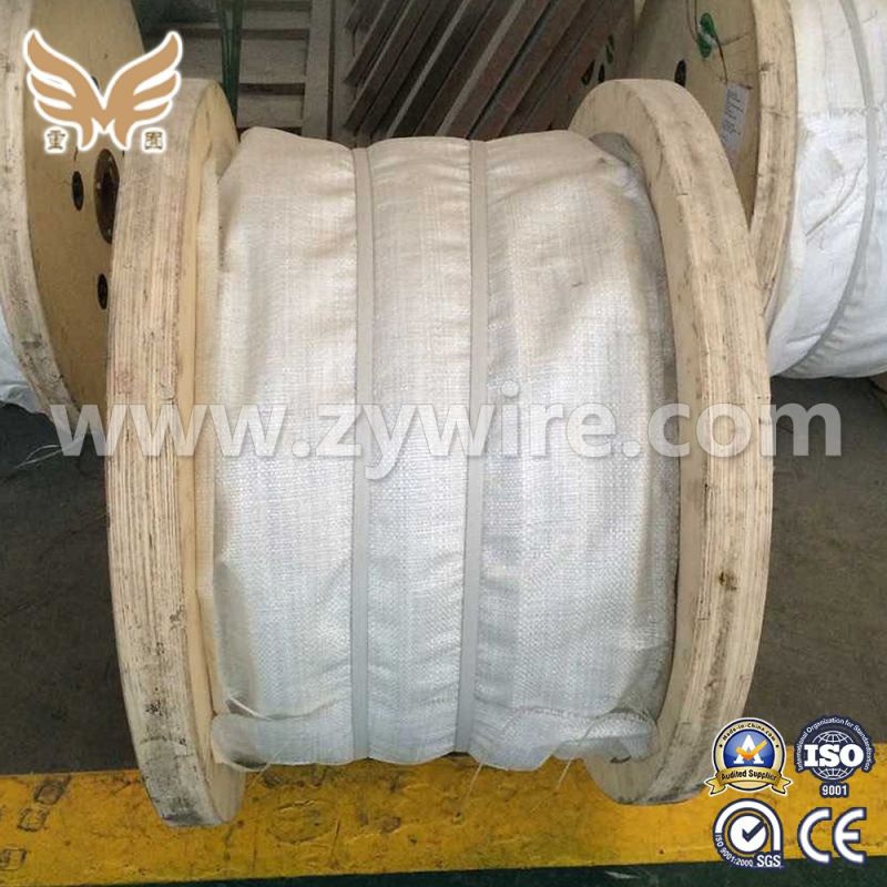 Factory Wholesale Stainless Galvanized Steel Wire Strand