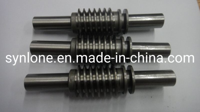 Customized Stainless Steel Worm Endless Screw