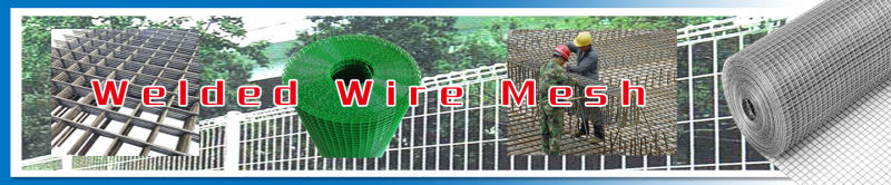 Welded Wire Mesh Sheet Galvanized Welded Wire Mesh Sheet