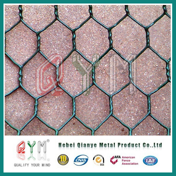 Stainless Steel Welded Wire Mesh Roll for Garden Fence