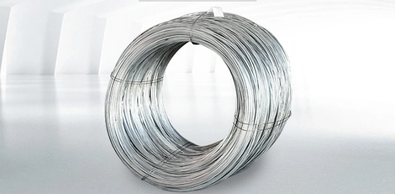 Factory Price Cold Heading Spring Steel Wire Stainless Steel Wire