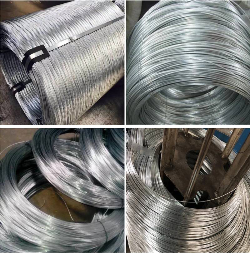 Factory Price Cold Heading Spring Steel Wire Stainless Steel Wire