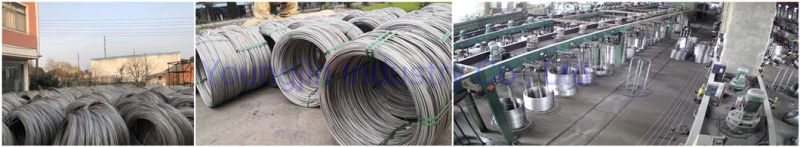301 302 302hq Stainless Steel Wire