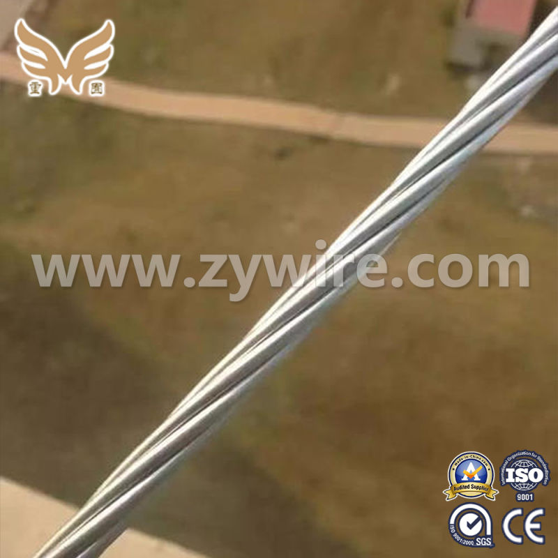 Factory Wholesale Stainless Galvanized Steel Wire Strand