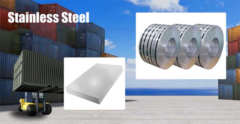 Low Price Building Material 304 Stainless Steel Coil