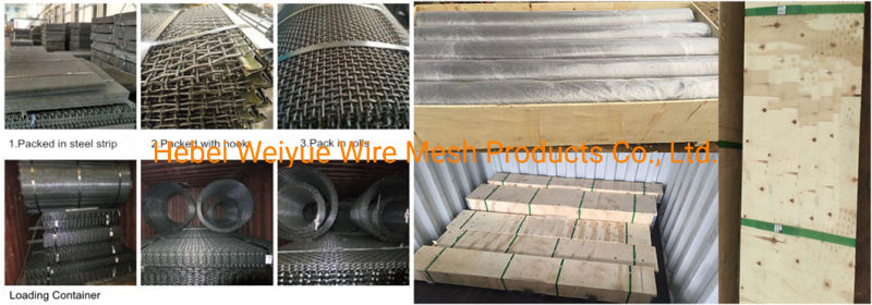 80 100 200 Mesh 304/316 Stainless Steel Wire Mesh Filter Screen