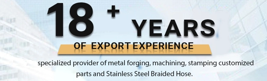 Progressive Die Stamping Brass Steel Stainless Steel Sheet Metal Cold Stamping Parts