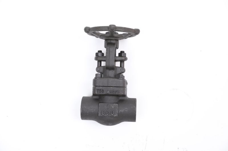 Stainless Steel Socket Welded (National Pipe Thread) Carbon Steel Stainless Steel Gate Valve (Z61H-800LB-DN50)