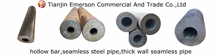 AISI 4130 Heavy Wall Hollow Bar Alloy Steel Seamless Round Steel Pipe