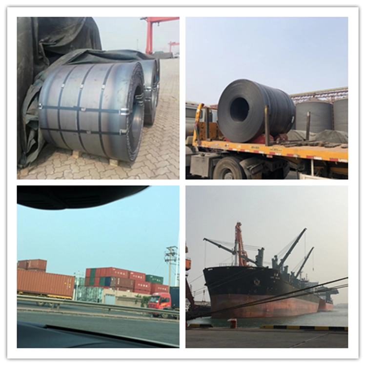 Q195 1000/1219mm Hot Rolled Steel Coil HRC for Steel Pipe to Africa Market