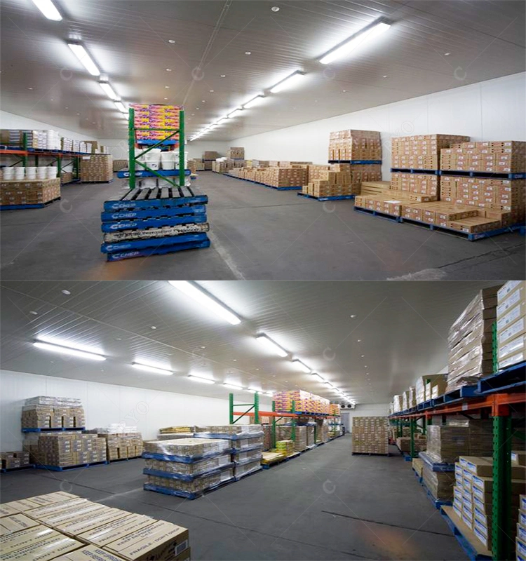 Frozen Squid Ring Requirements for Cold Storage Warehouse Refrigerated Storage Facilities Refrigerated Storage Facilities