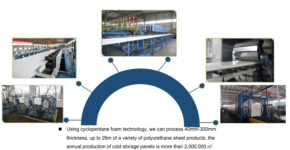 High Density EPS/PU/PIR/PUR/Polyurethane/Rock Wool Sandwich Panel for Cold Room/Storage